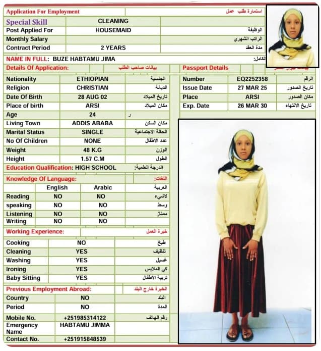 شغاله اثيوبيه